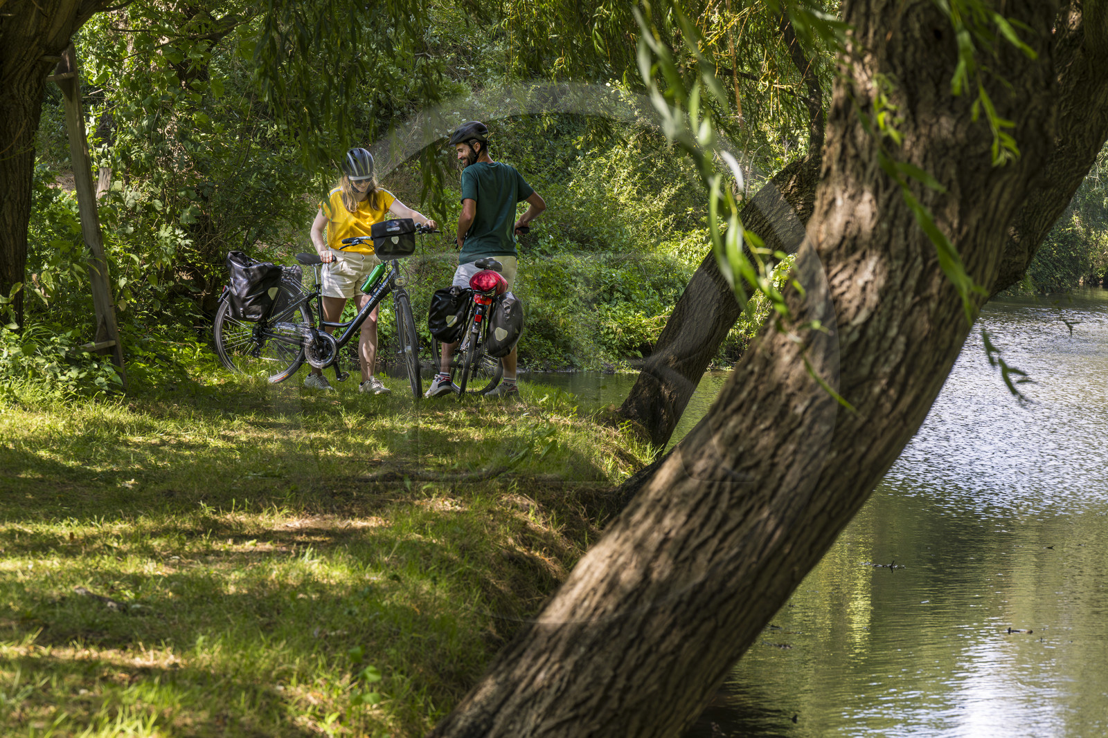 France, Deux-Sèvres (79), le Marais Poitevin, la Venise Verte, Le Vanneau-Irleau, randonnée à bicyclette le long des canaux