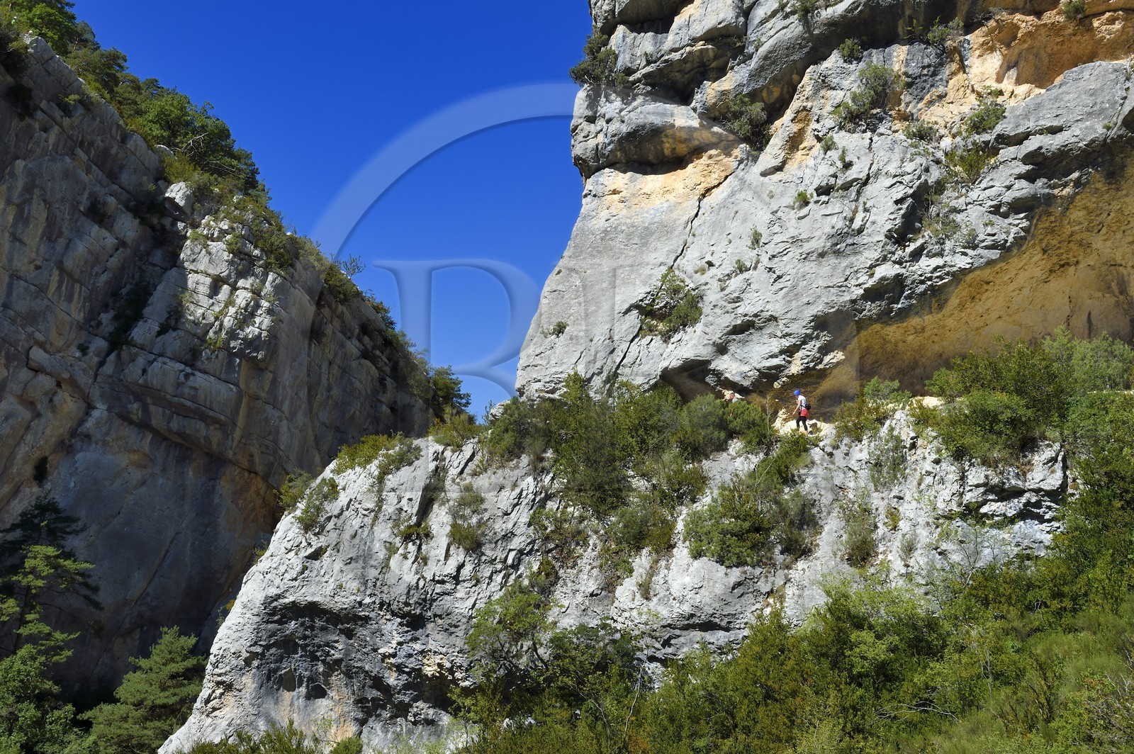 France, Alpes-de-Haute-Provence (04), Parc Naturel Régional du Verdon, les Gorges du Verdon en contrebas du village de Rougon et du Point Sublime