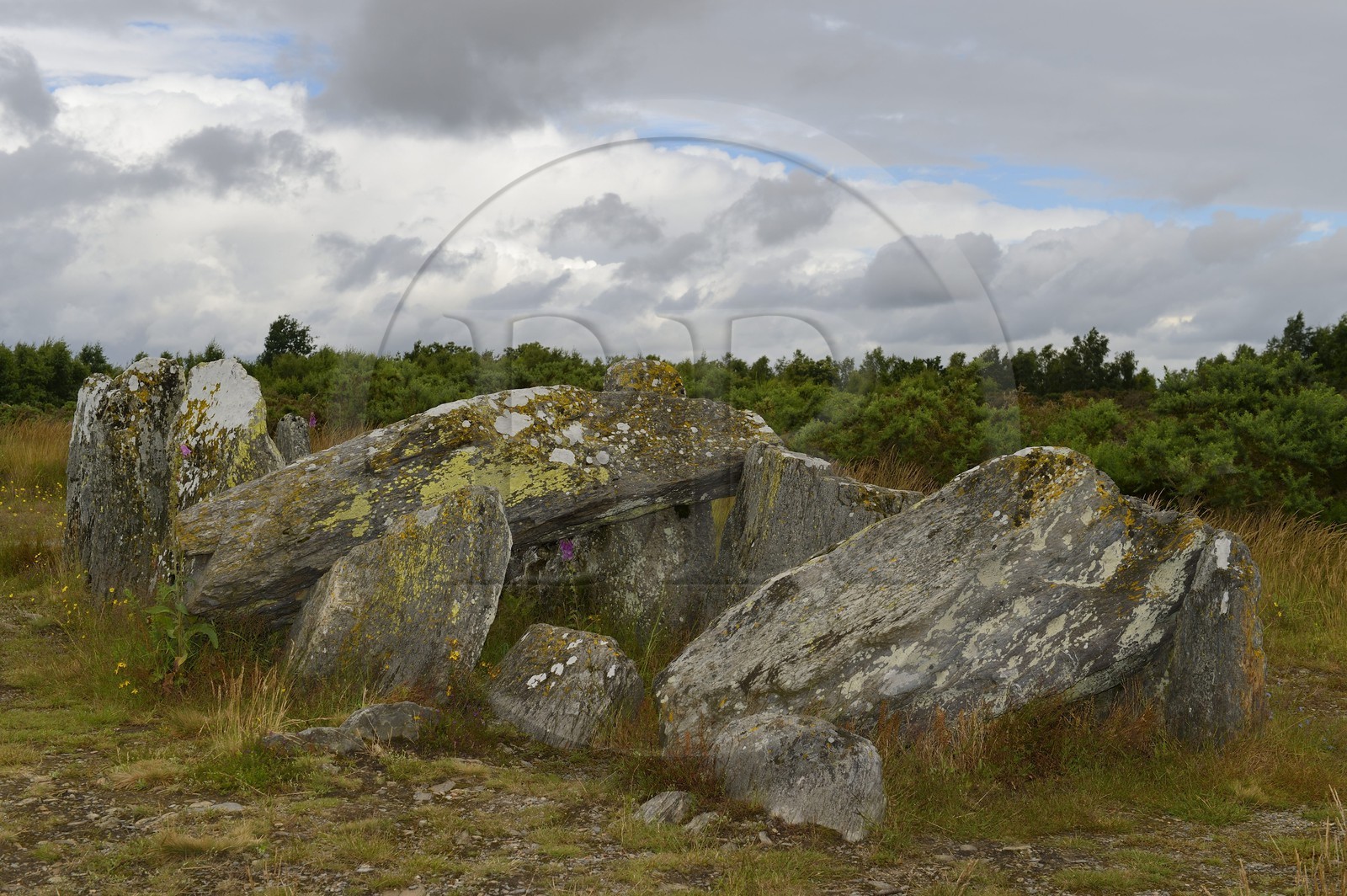 France, Ille-et-Vilaine (35), Saint-Just, monuments mégalithiques de la Lande de Cojoux, dolmen, sépulture à entrée latérale du Four Sarrazin