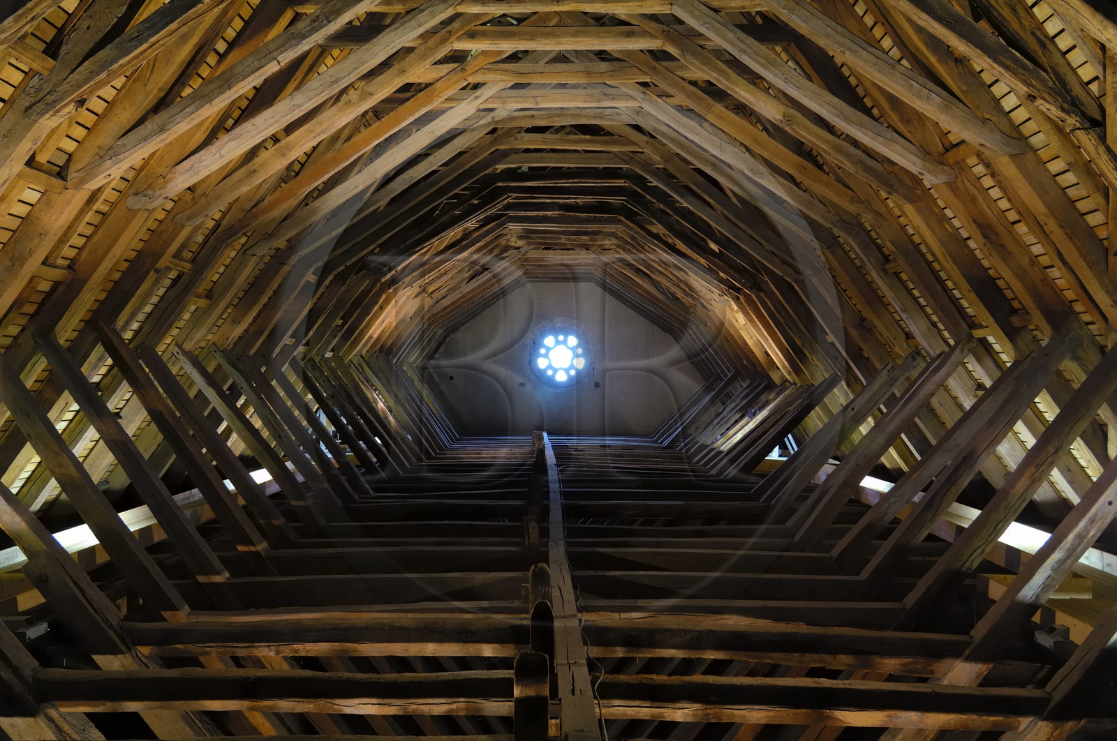 France, Loir-et-Cher (41), vallée de la Loire classée au Patrimoine Mondial de l'UNESCO, château de Blois, charpente mediévale du 13ème siècle au dessus de la salle des Etats