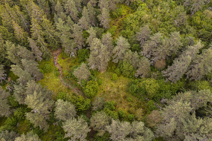 France, Cantal, Parc Naturel Régional des Volcans d'Auvergne (regional nature park of Auvergne volcanoes), between the Bois de Chavagnac and the Chastel-sur-Murat plateau, hickers on the Way of St. James to Santiago de Compostela by Via Arverna (aerial view)