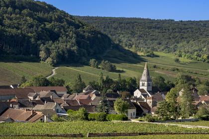France, Côte-d'Or (21), les climats de Bourgogne classés Patrimoine Mondial de l'UNESCO, Côte de Beaune, village de Auxey-Duresses entouré de vignes