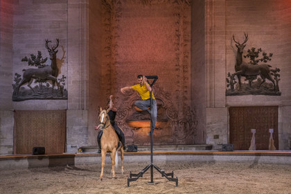 France, Oise (60), Chantilly, le chateau de Chantilly, les Grandes Ecuries, la salle des spectacles équestres sous le dome de l'ancien rendez-vous de chasse à cour, répétition d'un spectacle entre acrobate et cheval
