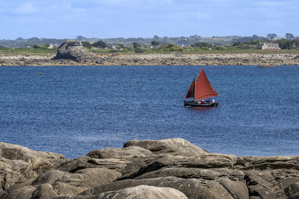 France, Finistère, Abers Country (Pays des Abers), Ile Vierge (Virgin Island) in the Lilia archipelago, traditional sailboat sailing in the Aber Wrac'h estuary