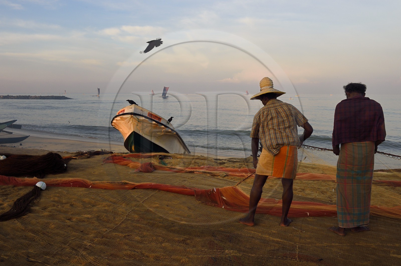 Sri Lanka, Province de l'Ouest, Negombo, pecheurs triant leurs filets sur la plage de Porathota