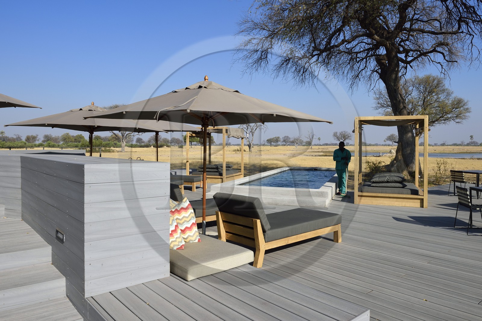 Zimbabwe, province de Matabeleland septentrional, parc national Hwange, Wilderness Safaris Linkwasha Camp