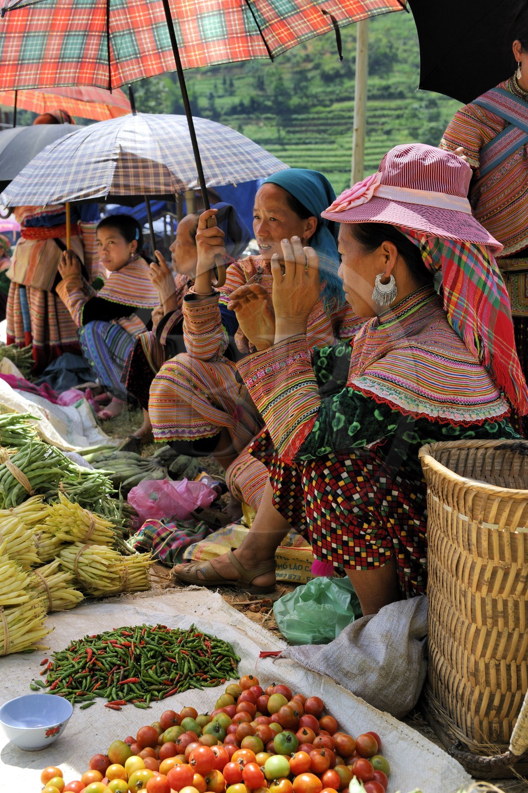 Vietnam, Lao Cai province, Bac Ha district, Can Cau market, women from the Flower Hmong minority