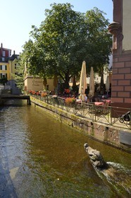Allemagne, Bade-Wurtemberg, Fribourg en Brisgau, rue Gerberau dans le quartier faubourg des Escargots (Schnecken-vorstadt), la statue du crocodile dans les eaux du Gewerbekanal
