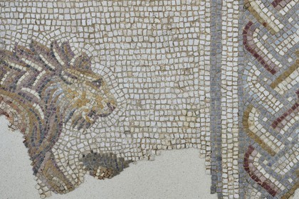 France, Rhône (69), Saint-Romain-en-Gal, musée gallo-romain de Saint-Romain-en-Gal, détail de la mosaïque de la maison du Lion datant de la fin du IIème siècle