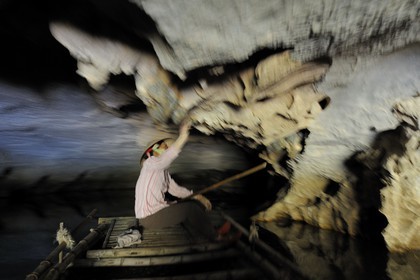 Vietnam, province de Ninh Binh, région surnommée la baie d'Halong terrestre, grotte de la réserve naturelle de Van Long
