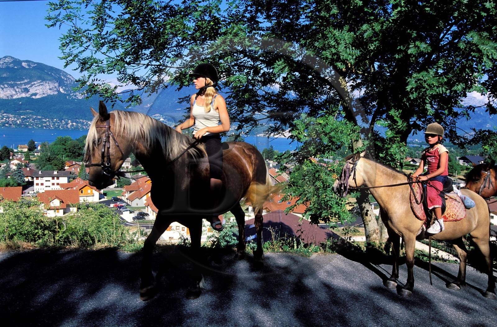 France, Haute Savoie, horseriding close to Annecy lake