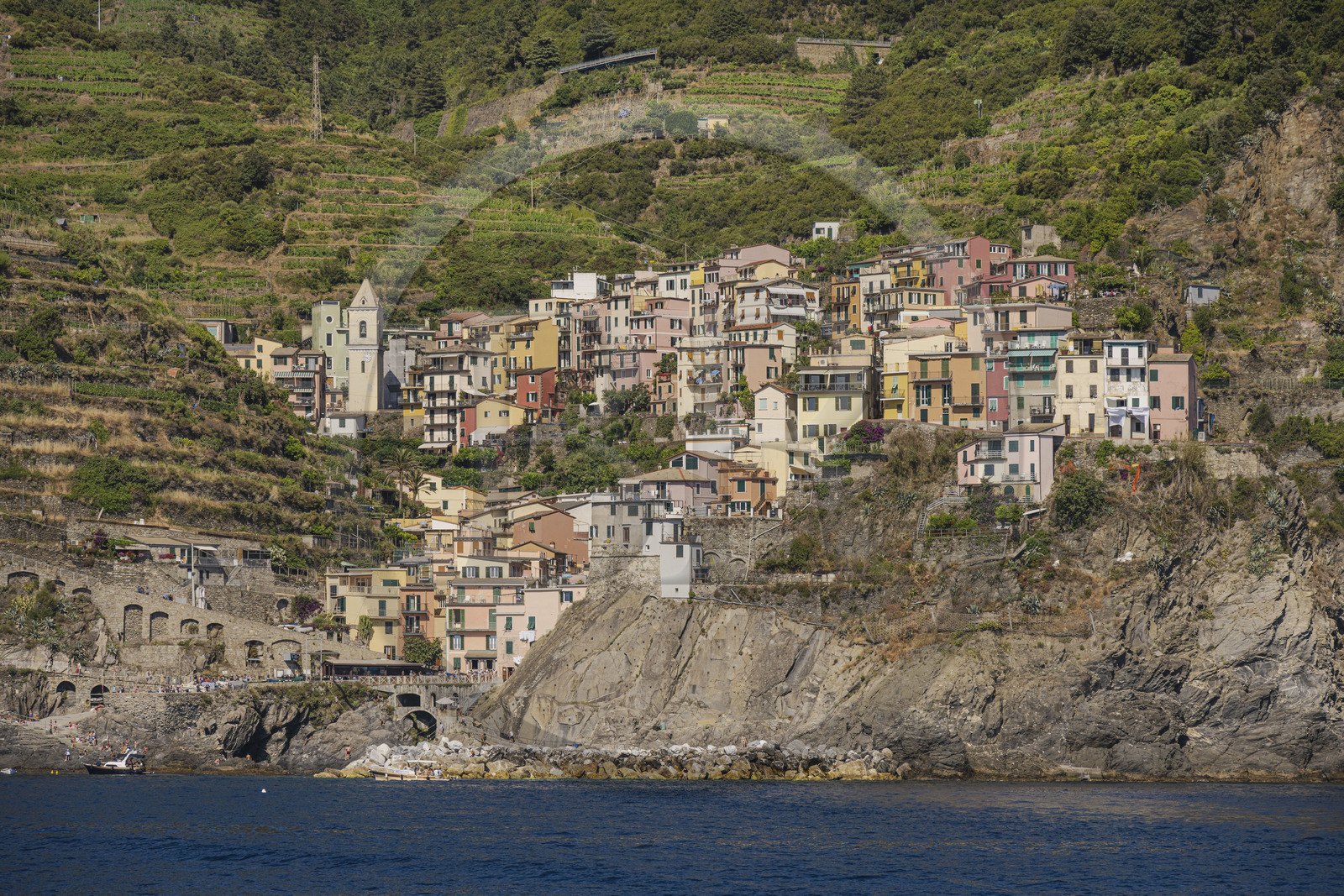 Italie, Ligurie, Cinque Terre, parc national des Cinque Terre classé Patrimoine Mondial de l'UNESCO, village de Manarola entouré par le vignoble