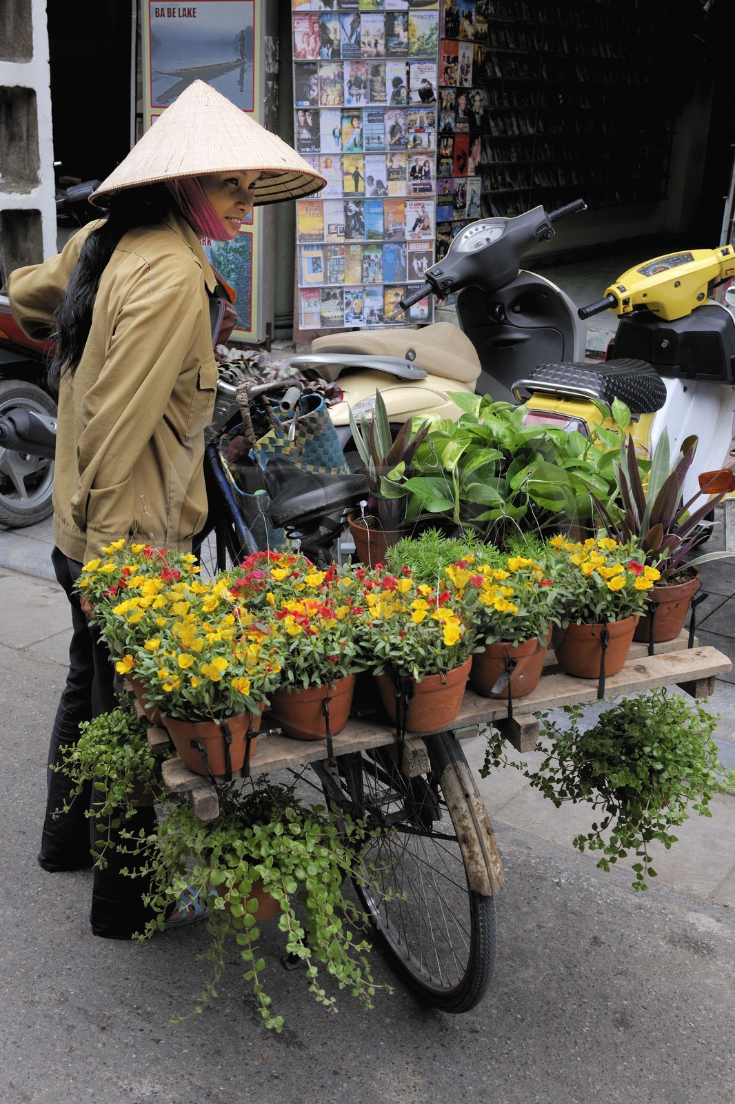 Vietnam, Hanoï, vieille ville, marchande de fleurs en pot