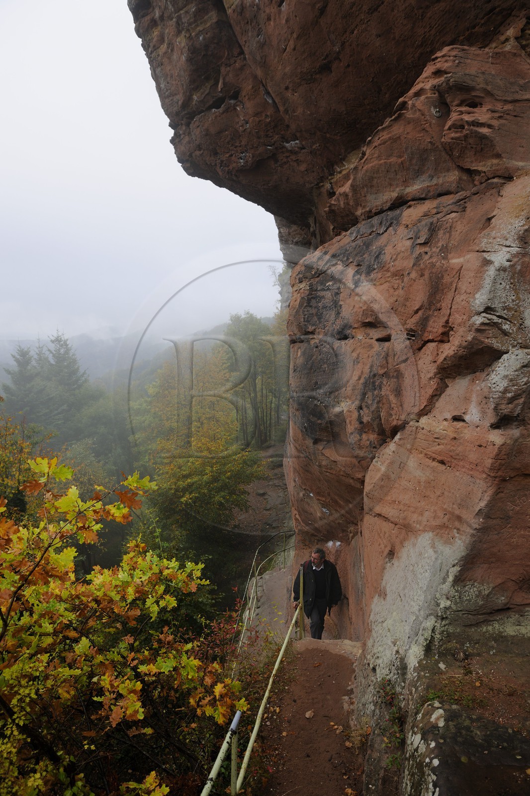 France, Bas-Rhin (67), château du Vieux-Windstein