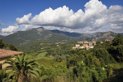 France, Corse du Sud, Prunelli river valley, Eccica-Suarella, the gorges of Prunelli in the background right