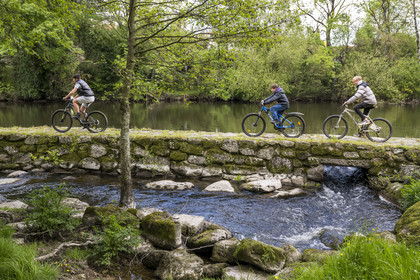 France, Vendée (85), Cugand, enfants jouant autour du Moulin à Foulon de Gaumier en bordure de la Sèvre Nantaise