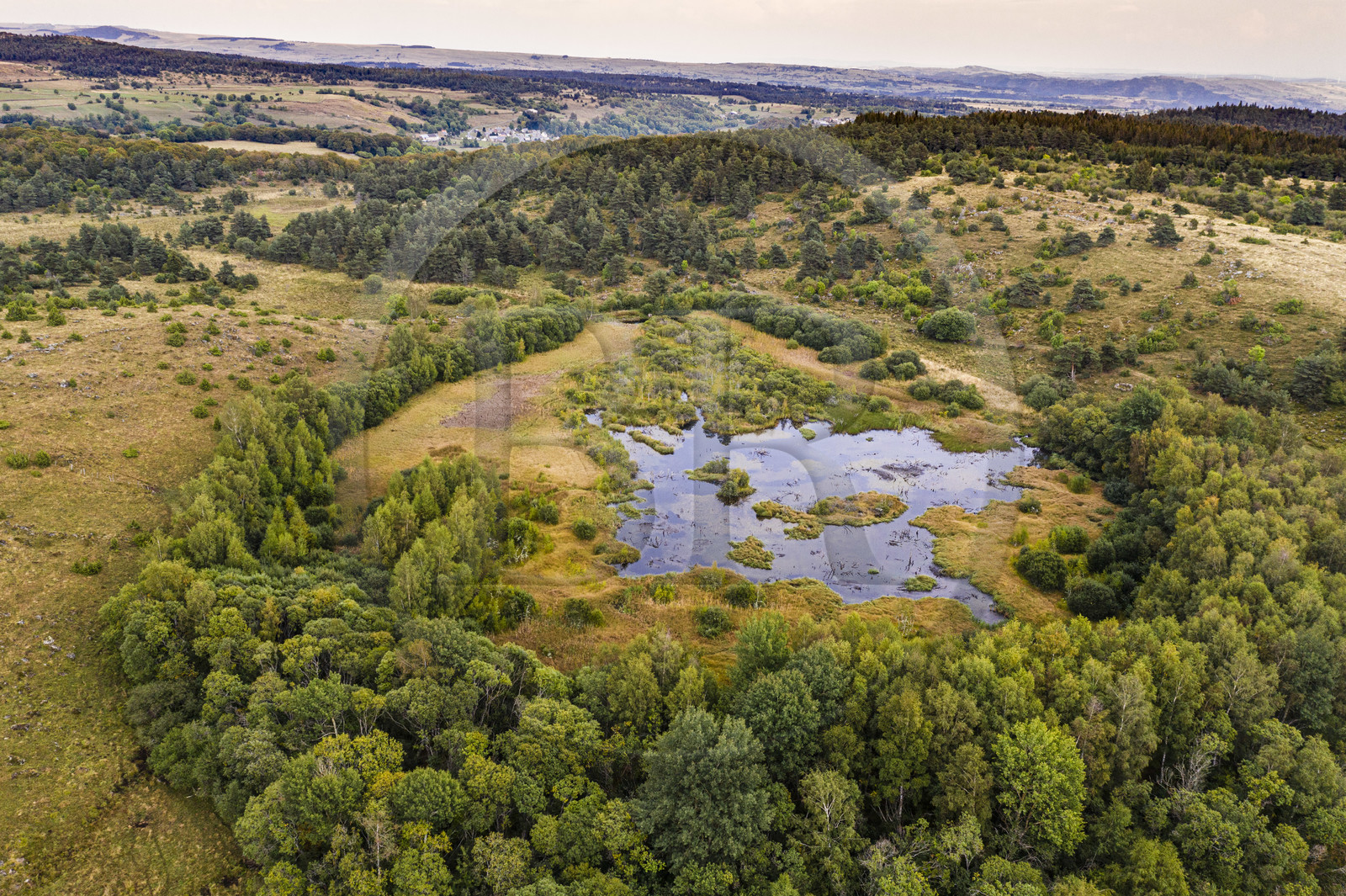 France, Cantal (15), Parc Naturel Régional des Volcans d'Auvergne, plateau de Chastel-sur-Murat, tourbiere de Lapsou sur le chemin de Saint-Jacques de Compostelle par la Via Arverna (vue aérienne)