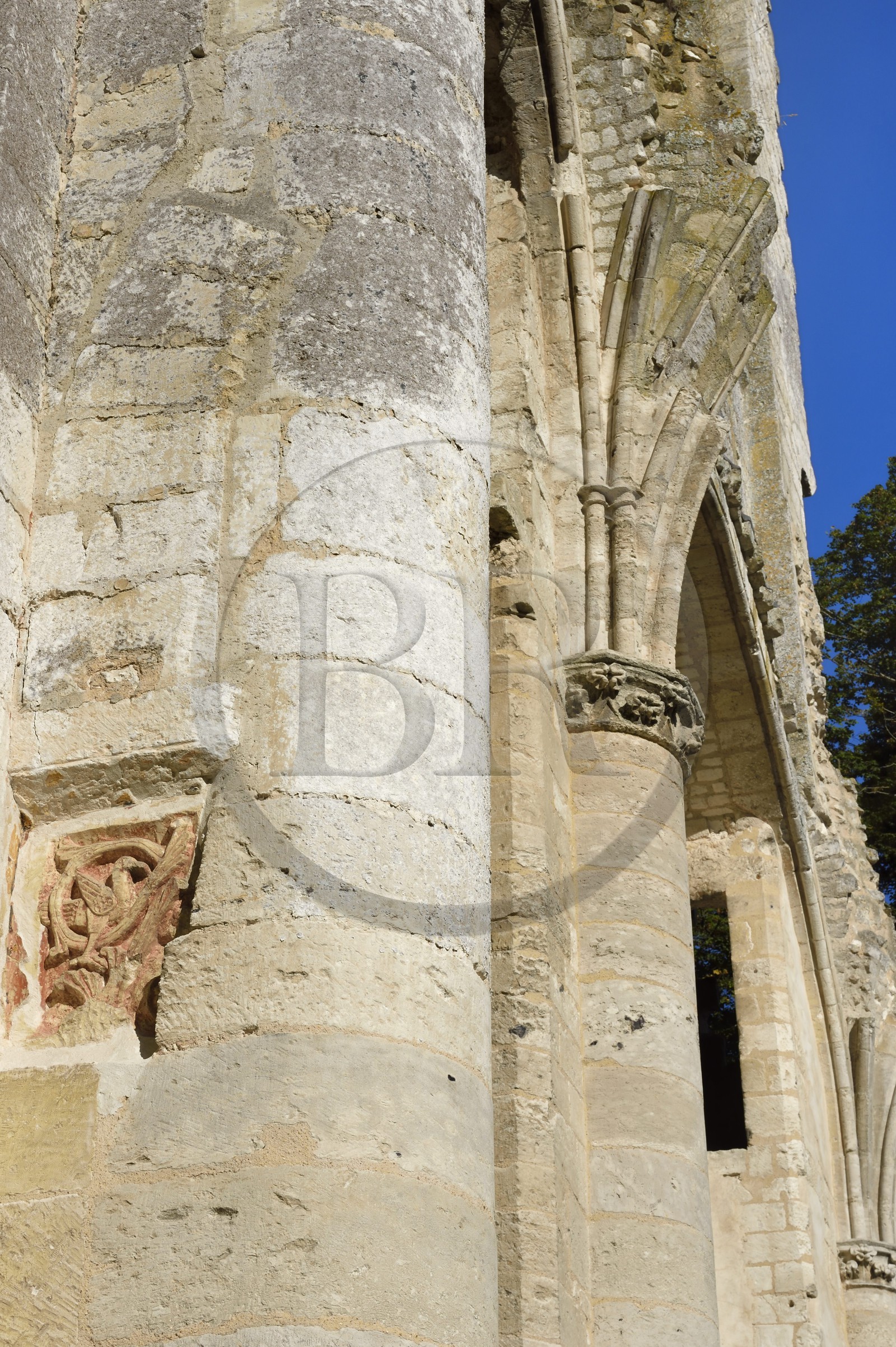 France, Seine-Maritime (76), Pays de Caux, Parc naturel régional des Boucles de la Seine normande, Jumièges, abbaye Saint-Pierre de Jumièges fondée au VIIe siècle