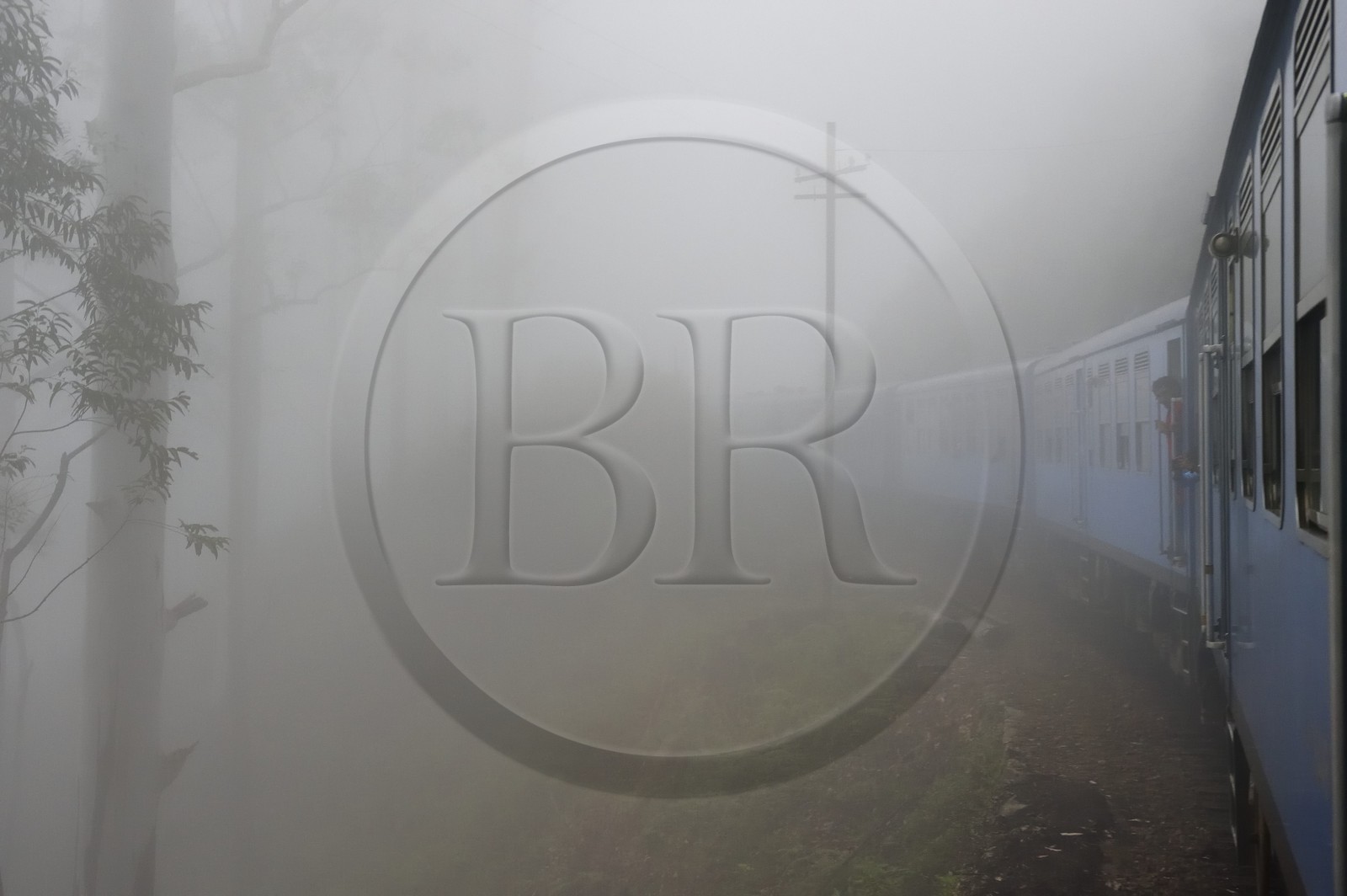 Sri Lanka, Province d'Uva, trajet en train dans la région montagneuse de la culture du thé entre Hatton et Badulla, en bordure de la forêt de nuages du parc national de Horton Plains