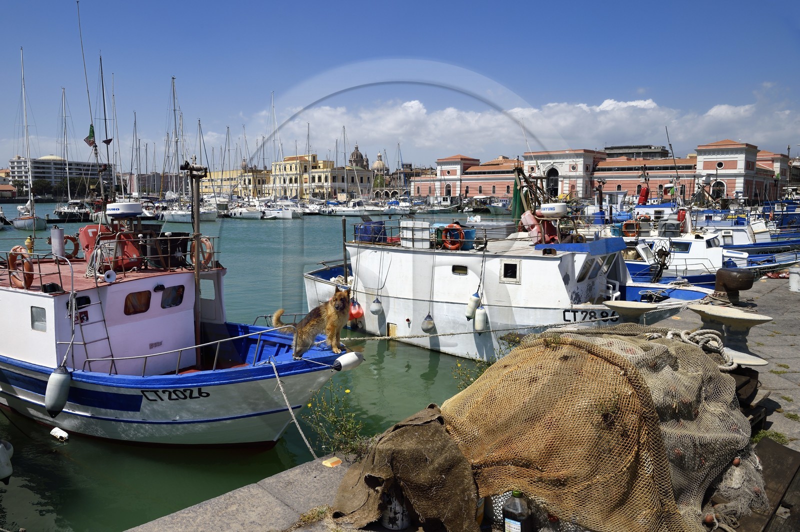 Italie, Sicile, Catane, ville baroque classée au Patrimoine Mondial de l'UNESCO, le port