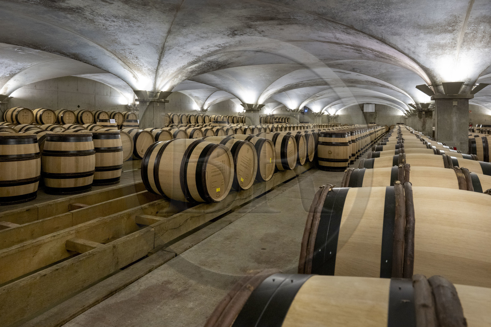France, Côte-d'Or (21), les climats de Bourgogne classés Patrimoine Mondial de l'UNESCO, Beaune, Cuverie des Hospices de Beaune, tonneaux dans la cave prets à recevoir le pressage des vendanges qui se préparent