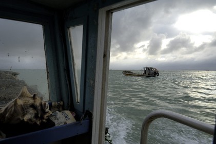 France, Charente-Maritime (17), le bassin Marrennes-Oléron au large de l'Ile d'Oléron