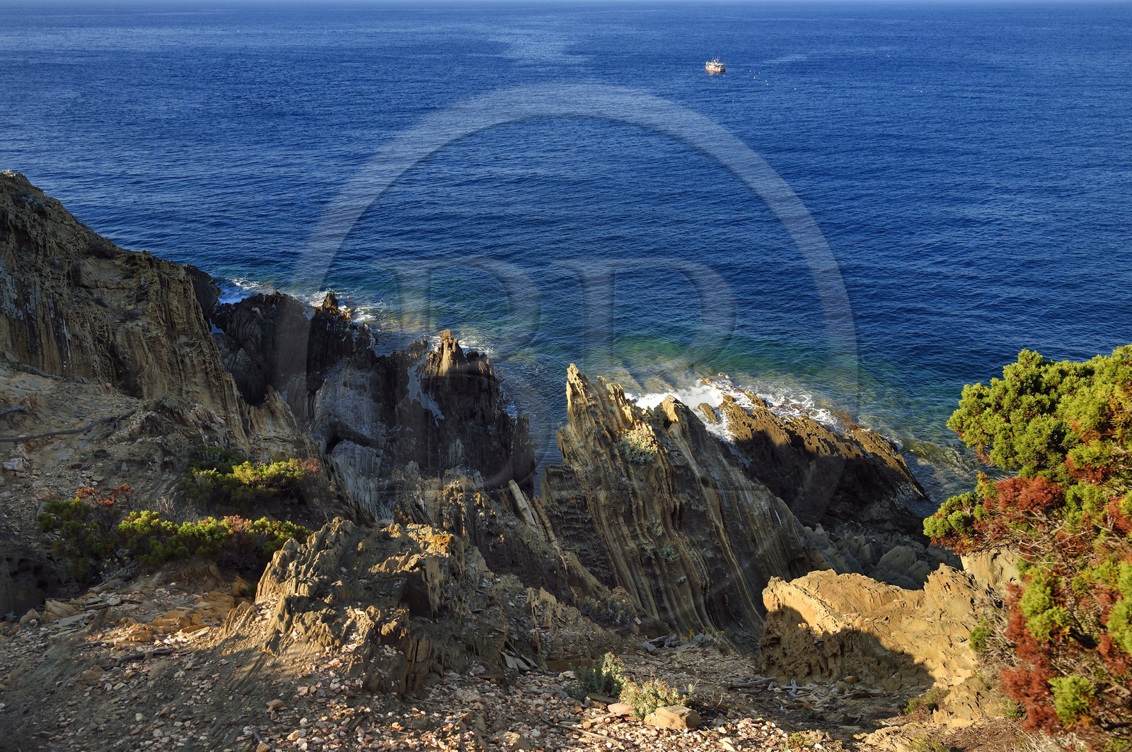 France, Var (83), Iles d'Hyères, Parc national de Port Cros, Ile de Port-Cros, falaises à la Pointe du Sud