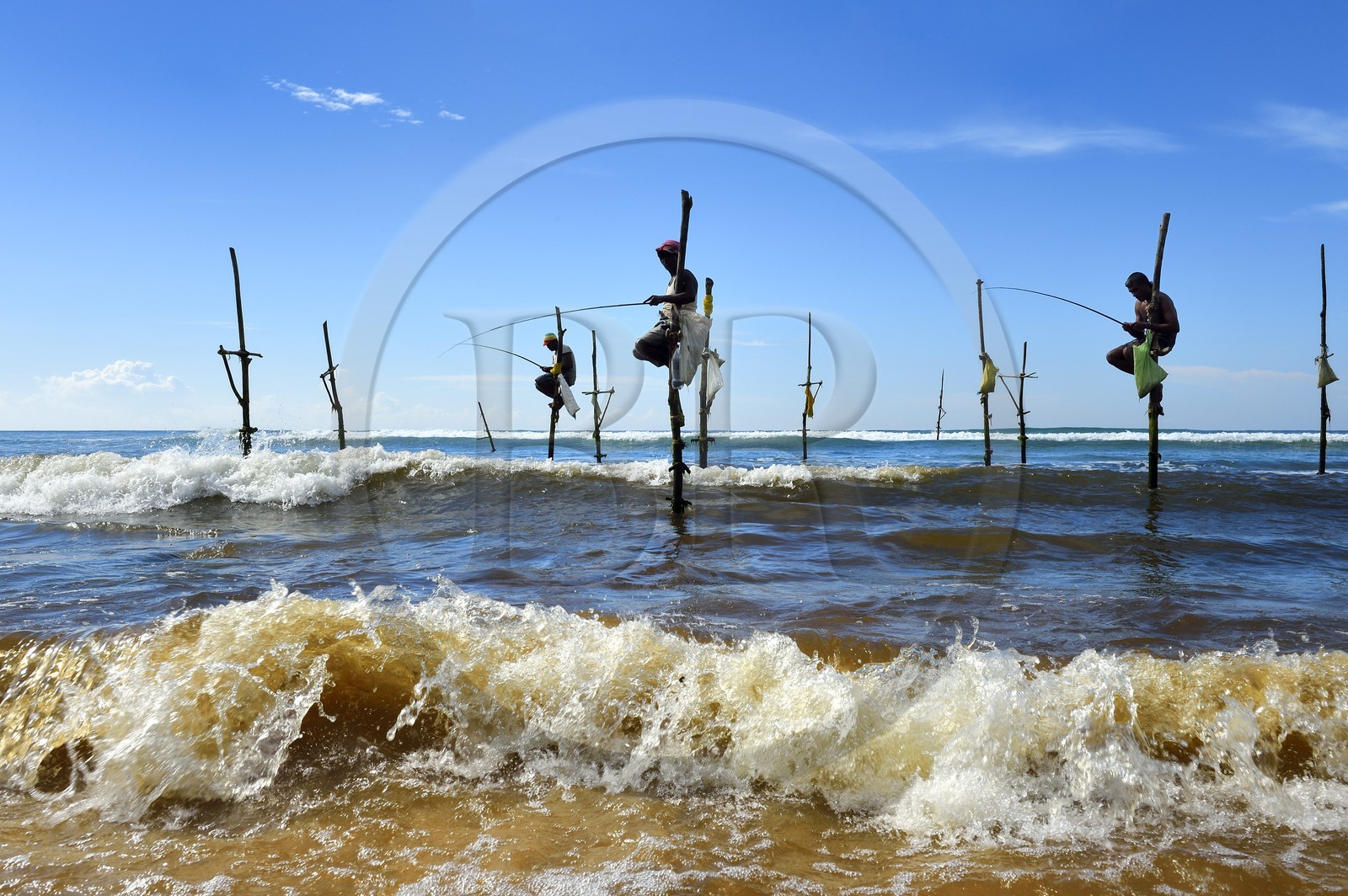 Sri Lanka, Province du Sud, région de Galle, plage de Midigama, pecheurs sur poteaux