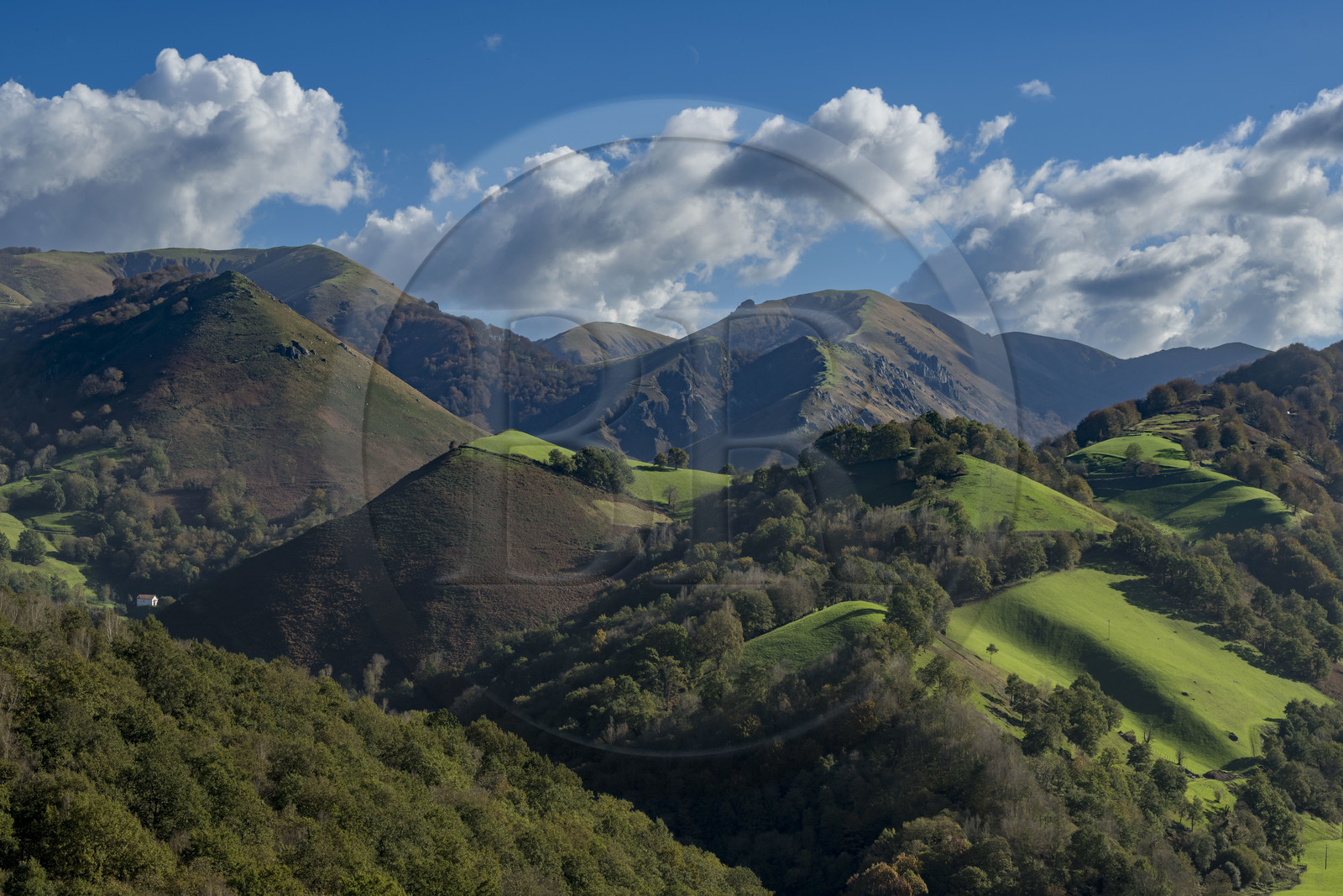 France, Pyrenees Atlantiques, Basque Country, Aldudes valley, Urepel, Kintoa (Quint country) south of the valley straddling the Spanish border