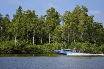 Gabon, province de Ogooué- Maritime, région de Port-Gentil, bateau taxi sur une rivière débouchant sur la baie du Cap Lopez, le manque de routes est compensé par l'utilisation des rivières