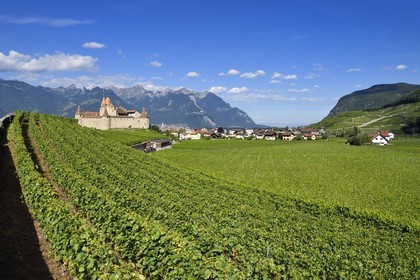 Switzerland, Canton of Vaud, Aigle, the castle surrounded by vineyards, it houses the Museum of Vine and Wine