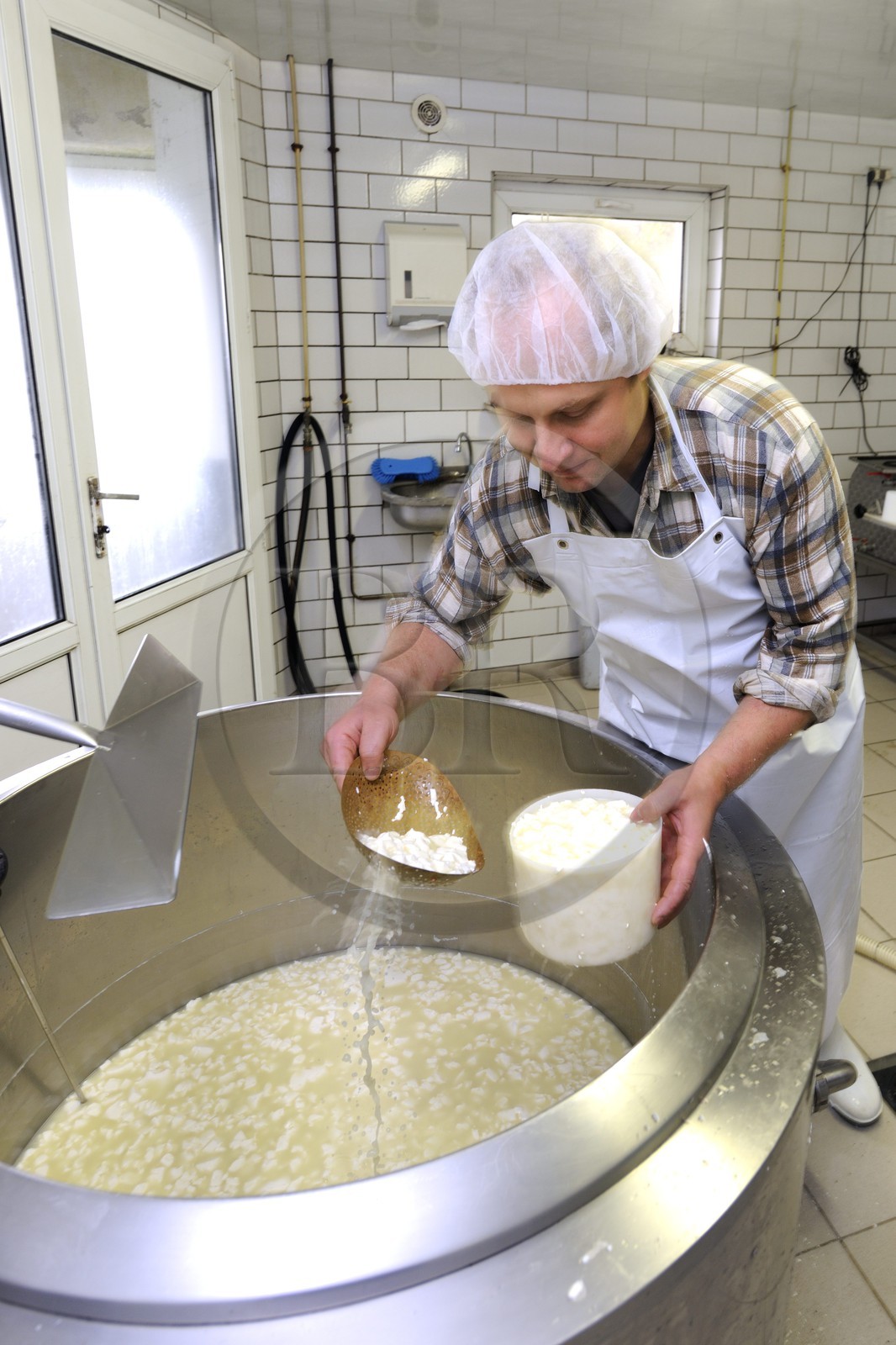 France, Haut Rhin, scenic road of la route des Cretes, Rural Inn Marcaire du Grand Hetre, Jean-Mathieu Spenle preparing the munster cheese