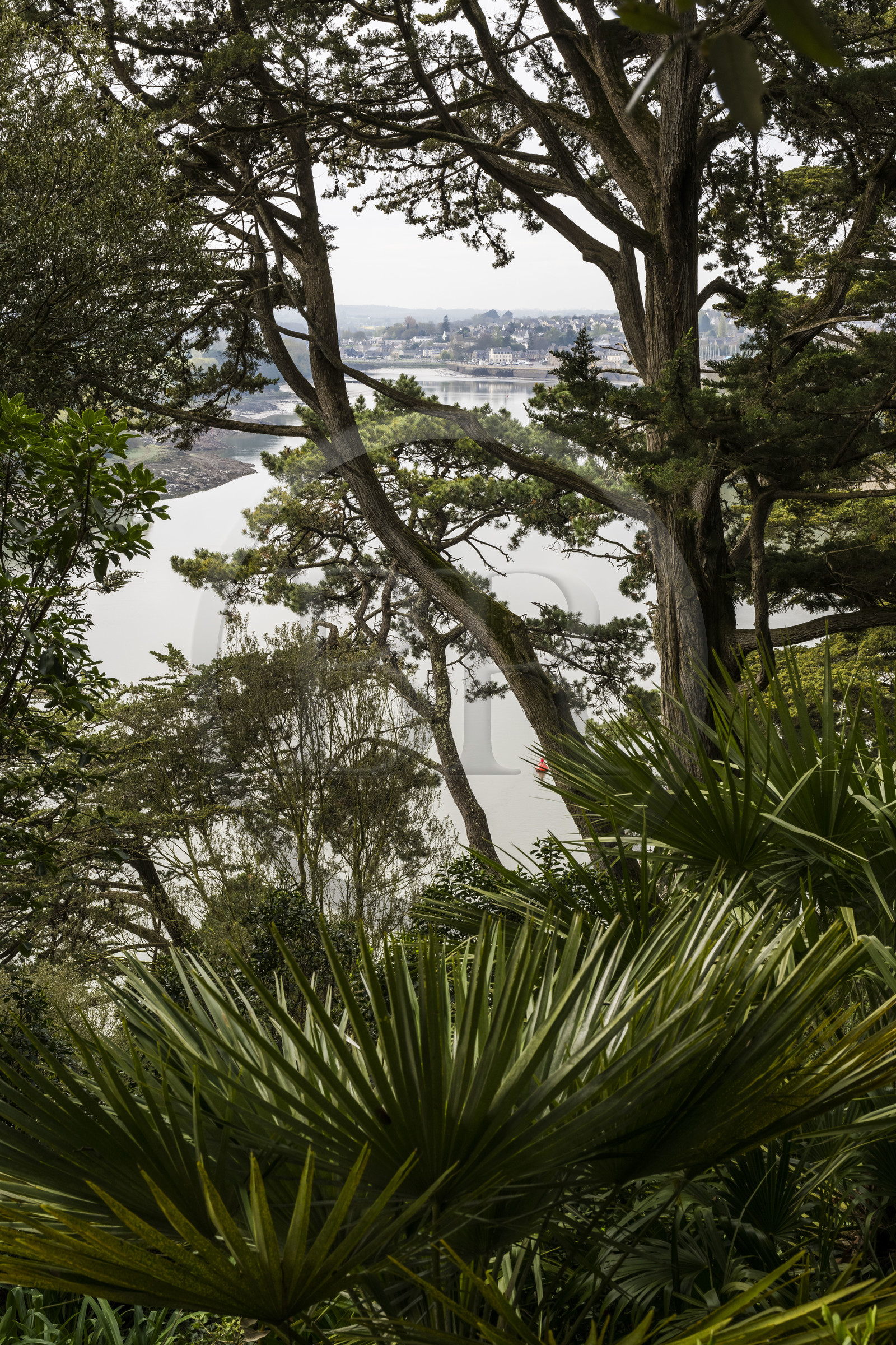France, Côtes-d'Armor (22), Plouguiel, le Jardin botanique du Kestellic, classé jardin remarquable, dominant le fleuve Jaudy
