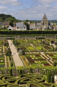 France, Indre-et-Loire (37), vallée de la Loire classée Patrimoine Mondial de l'UNESCO, les jardins à la française du château de Villandry, propriété d'Angélique et Henri Carvallo