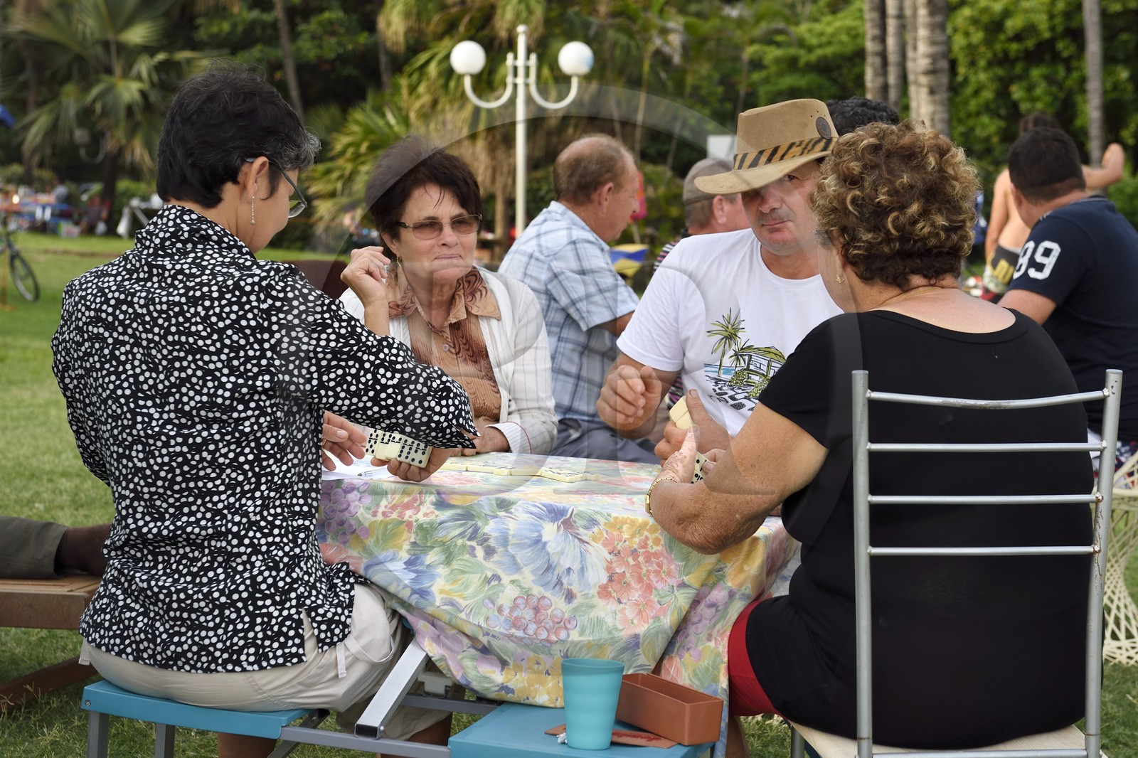 France, Ile de la Reunion, Cote Sud, plage de Grande Anse, la plage est très prisée le week end par les familles créoles pour les loisirs et le picnic