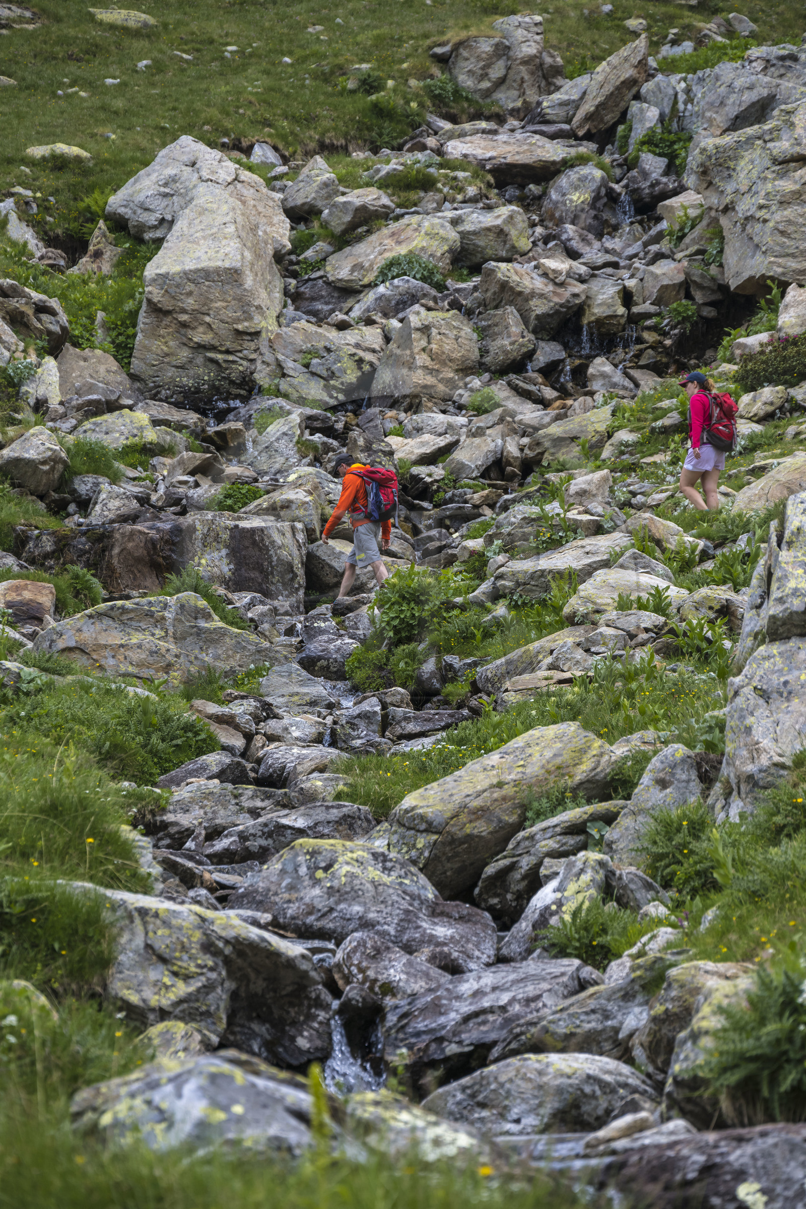 France, Alpes-Maritimes (06), parc national du Mercantour, Haute-Vésubie, Saint-Martin-Vésubie, Val du Haut Boréon, randonneurs traversant une rivière sur le sentier allant au col du Pas des Ladres