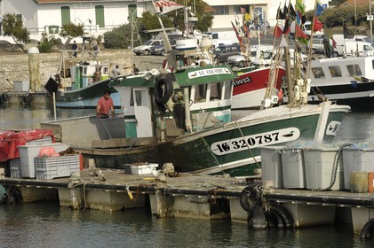France, Charente-Maritime (17), Ile d'Oléron, port de la Cotinière