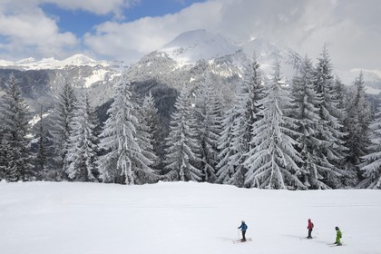 France, Haute-Savoie (74), Morzine