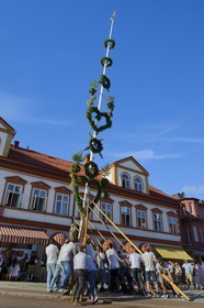 Suède, comté de Dalécarlie, les très populaires célébrations du solstice d'été à Leksand, festival des mâts de la Saint-Jean
