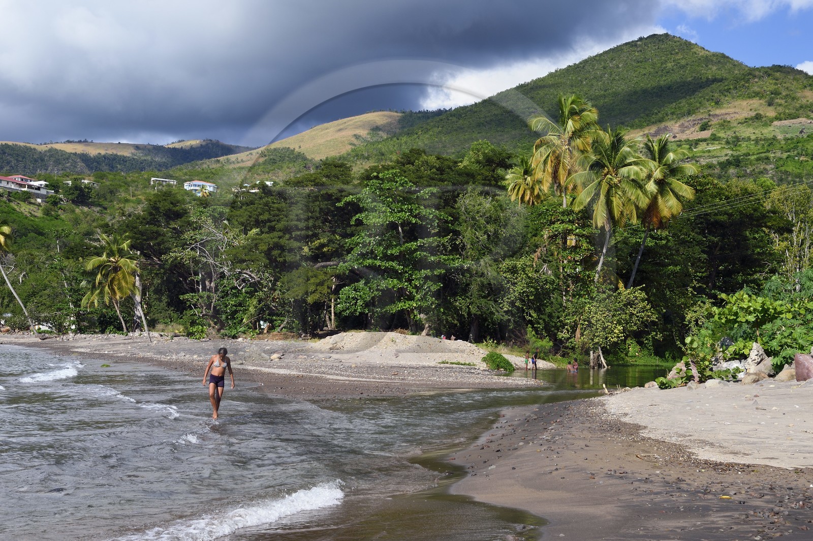 Caribbean, Dominica Island, Coulibistrie, Batalie Beach and estuary of the Coulibistrie river