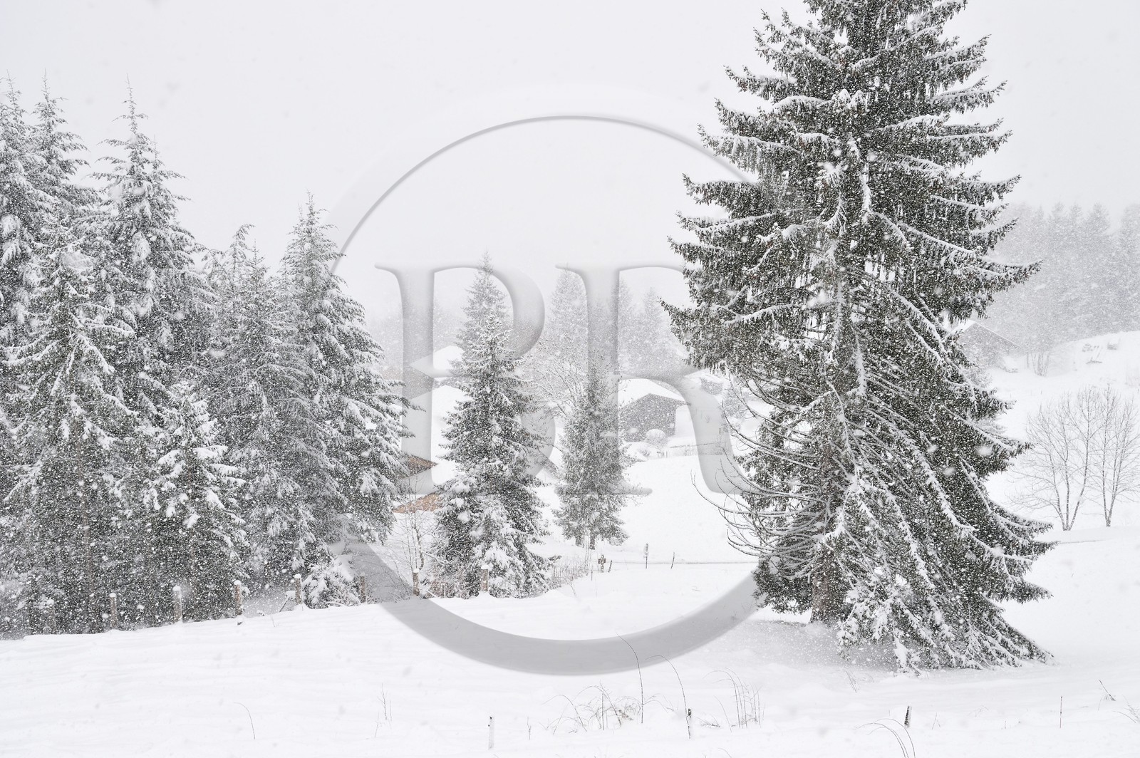 France, Haute-Savoie (74), station de ski Les Carroz d'Arâches, village d'Arâches-la-Frasse
