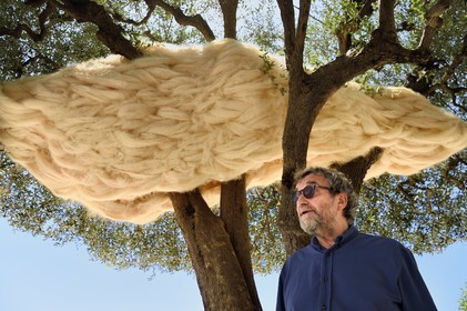 France, Alpes-Maritimes (06), Saint Paul de Vence, Olivier Kaeppelin Président de la Biennale Internationale de Saint-Paul de Vence, La Nebuleuse des  Dryades (2021) oeuvre de Charles Le Hyaric