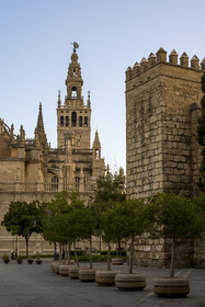 Espagne, Andalousie, Séville, quartier de Santa Cruz, la Giralda, ancien minaret almohade de la Grande Mosquée reconverti en clocher de la cathédrale, classé Patrimoine Mondial de l'UNESCO, et la tour de muraille de l'Alcazar