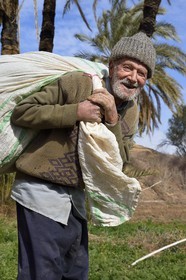 Iran, Isfahan province, Dasht-e Kavir desert, the oasis of Arousan in Khur and Biabanak County, peasant in his field, Mohamed Vahab 85 years