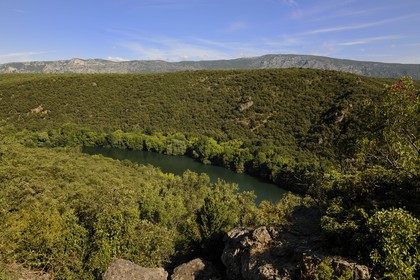 France, Herault, Gorges de l'Herault between Saint-Martin-de-Londres and Saint-Guilhem-le-Désert