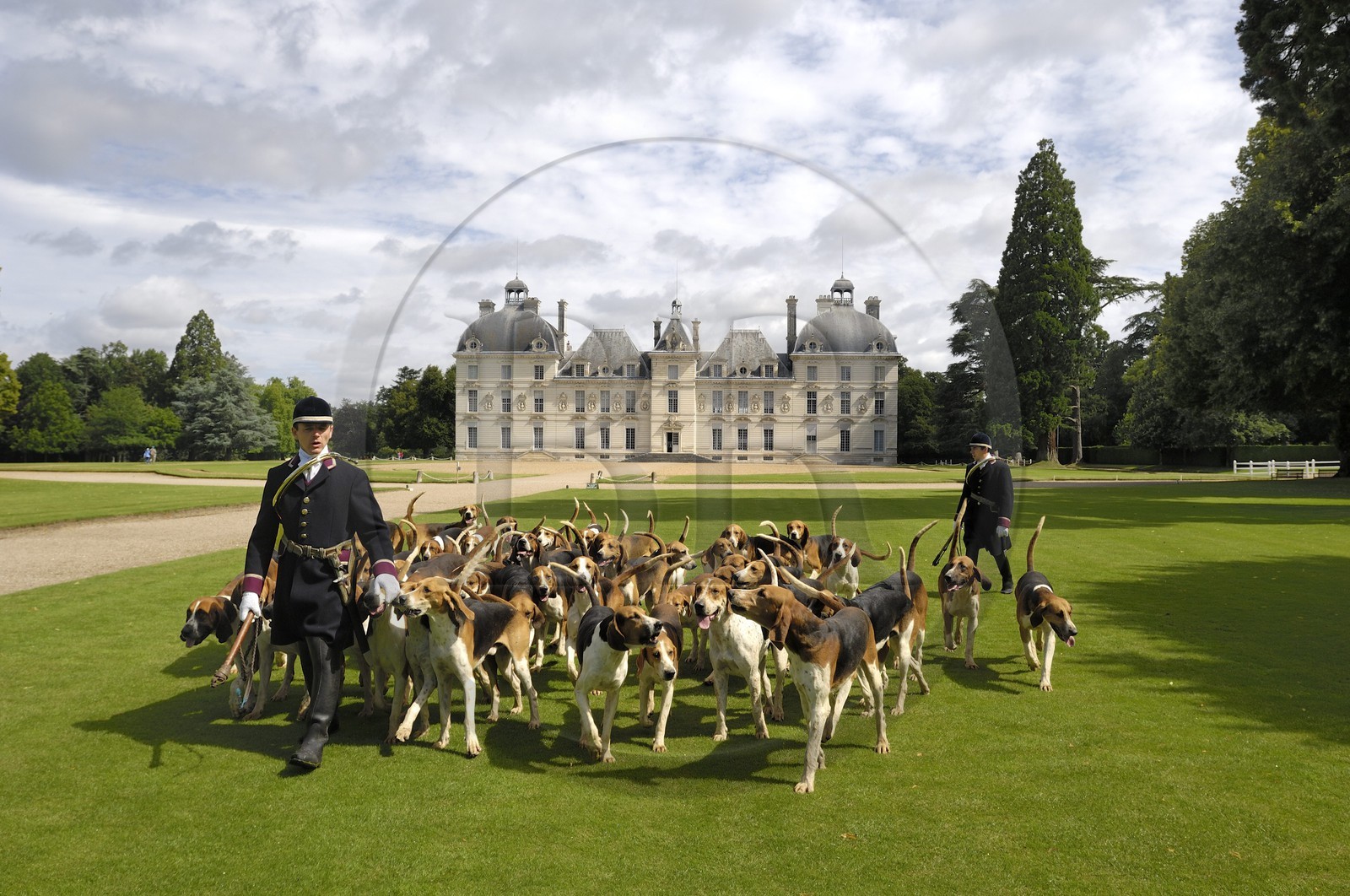 France, Loir-et-Cher (41), château de Cheverny, les piqueux Vol au Vent et La Rosée qui gèrent la meute de 90 chiens de chasse à cour