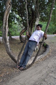 Sri Lanka, province du Centre-Nord, Polonnaruwa, l'ancienne capital du pays (XIe au XIIIe siècle), balançoire naturelle dans une branche liane
