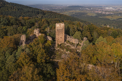 France, Bas Rhin, Heiligenstein, 13th century Landsberg castle and the plain of Alsace in the background (aerial view)