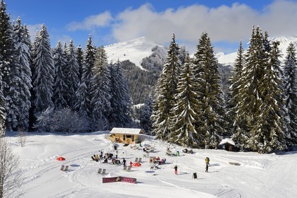 France, Haute-Savoie (74), Morzine, la vallée d'Aulps, massif du Chablais, domaine skiable des Portes du Soleil, vue sur le Roc d'Enfer (2243m) depuis le Pléney (1554m)