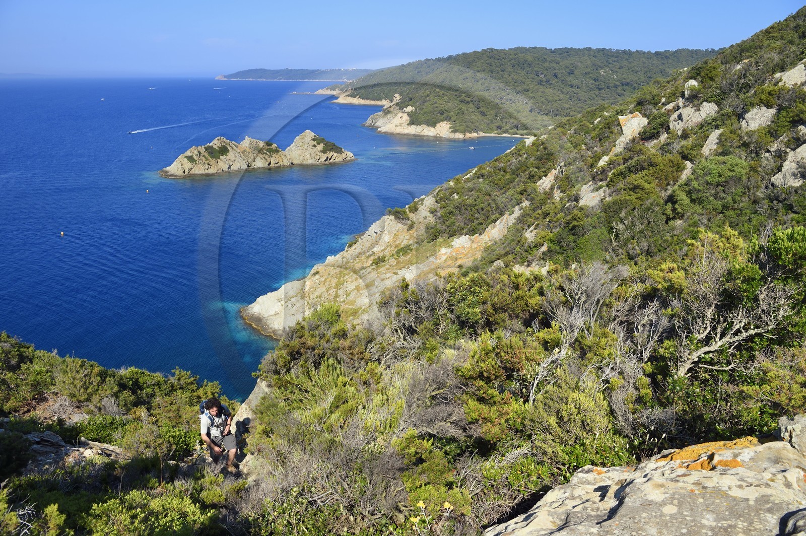 France, Var (83), Iles d'Hyères, Parc national de Port Cros, Ile de Port-Cros, plage de la Palud, Johann Cerisier, garde moniteur du parc national de Port-Cros en tournée de surveillance au rocher du Rascas (en arrière plan)